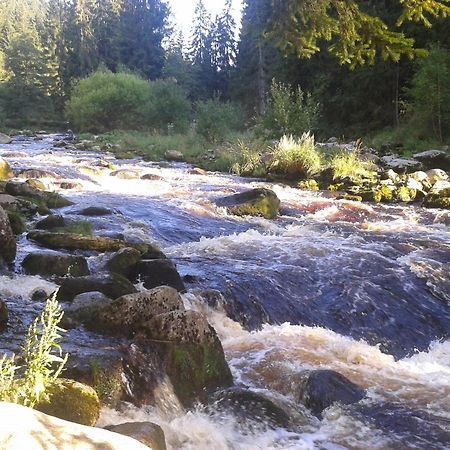 Apartmany U Ády Železná Ruda Esterno foto