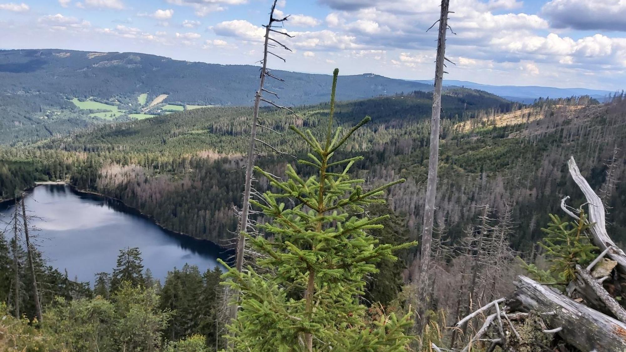 Apartmany U Ády Železná Ruda Esterno foto
