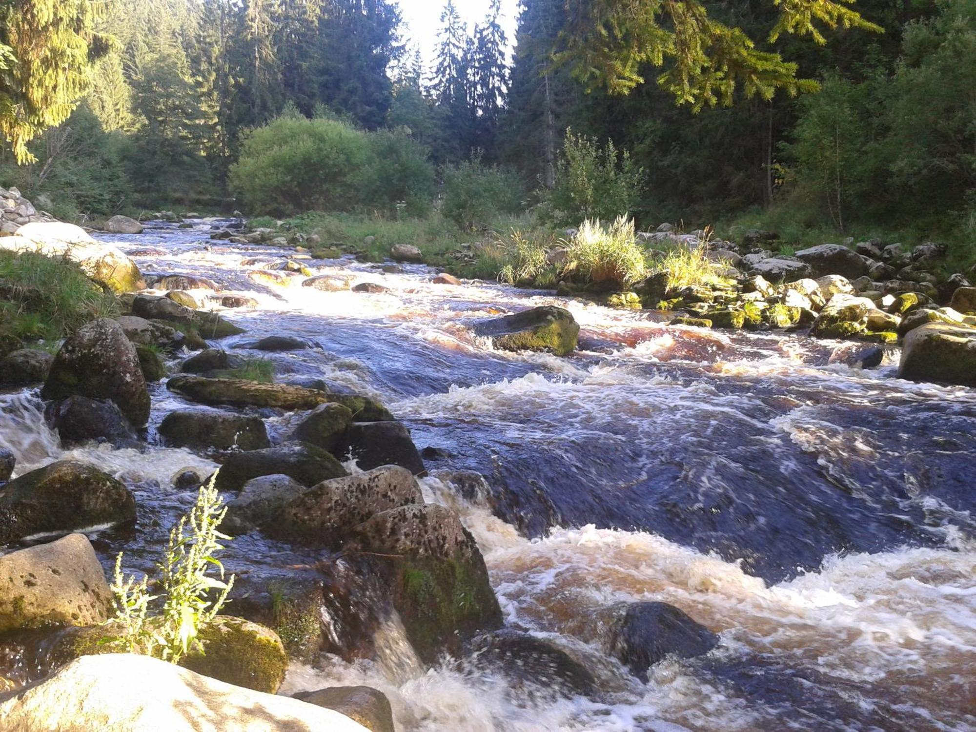 Apartmany U Ády Železná Ruda Esterno foto